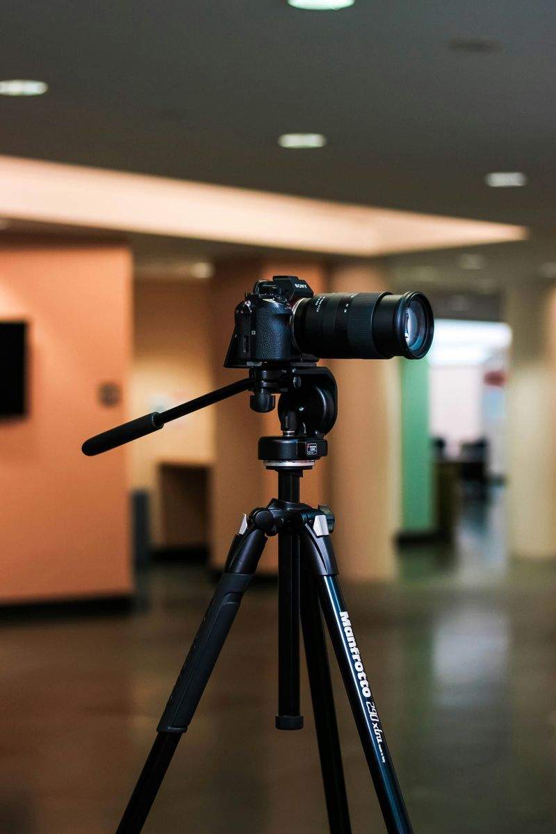 Content- und Set-Designer